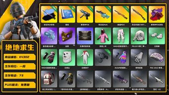 绝地求生（PUBG）[K4302]1段75级 信誉2 1级寒蚀+异色 1级权志龙AUG 1级夜曲 1级烈日喷 彩虹异色无原皮 烟枪 8图纸 1.1w聚合物 悲喜 金面 白熊套