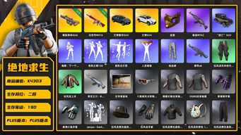 绝地求生（PUBG）[K4303]2段190级 信誉43级爆裂 2级无信号 兰博suv 金面 
