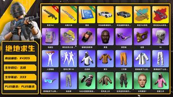 绝地求生（PUBG）[K4305]5段333级  信誉4  布加迪  10级青龙+异色  5级玩偶  权志龙异色（无原皮）  烟枪烟弹  3图  改名卡  白战神  黄东  星魂  拉风龙  黑鬼  金面  滑雪镜  9s