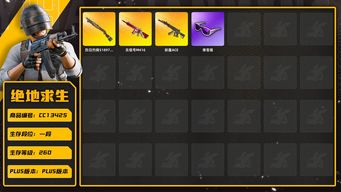 绝地求生（PUBG）[CC13425]CC13425/可排位/1段/260级/4级无信号M4/3级妖魔ACE/1级烈日s1897/滑雪镜