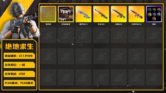 绝地求生（PUBG）[CC13426]CC13426/可排位/1段/250级/1张图纸/烟枪/布加迪/卡宴/3级魔咒mk12/1级无信号M4/1级妖魔ACE/1级时光sks/魔咒mk12异色/黄东/发光手臂/