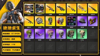 绝地求生（PUBG）[CC13435]CC13435/可排位/4段/179级/改名卡/3张图纸/烟雾弹/迈凯伦/阿斯顿马丁SUV/阿斯顿马丁跑车/小丑女/小丑男/10级火麒麟/10级齿轮大炮/10级妖魔ACE/4级DBS/4级玄武sks/3级白虎锅/2级霓虹AUG/4套1代女团/冠军队服/小战神/粉战神/瑞恩狮/啵啵桃/竞猜裤/pro套装/nh套装/17tap张/快手夹克/滑雪镜/滑雪帽/金面/尼尔头/粉头/小绿头/