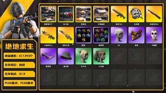 绝地求生（PUBG）[CC13437]CC13437/可排位/4段/313级/23张图纸/8000聚合物/烟枪/蓝色烟雾弹/青色烟雾弹/迈凯伦/阿斯顿马丁SUV/阿斯顿马丁跑车/兰博基尼SUV/杜卡迪/10级青龙/10级孙悟空M24/6级小兔MK12/3级齿轮大炮/2级白虎锅/妖魔ACE异色/1套1代女团/绿东/小战神/粉战神/拉风龙套装/圣诞套装/竞猜裤/萨芬裤/染血运动裤/小黄鸭/滑雪镜/滑雪帽/金面/卡崔娜/尼