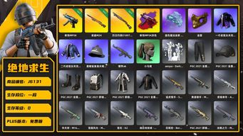 绝地求生（PUBG）寒蚀原皮异色+夜曲+喷子 烟枪 小马尾 金面 绷带ak