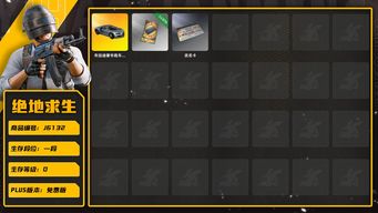 绝地求生（PUBG）布加迪豪华版＋改名卡＋870票卷