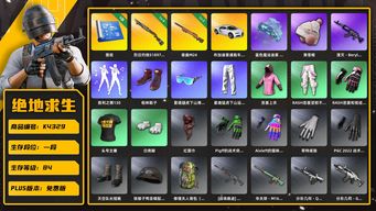 绝地求生（PUBG）[K4329]1段84级 信誉1 4级s1897 2级夜曲 烟枪 5图纸 布加迪 悲喜