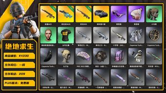 绝地求生（PUBG）[K4330]1段209级 信誉3 2级妖魔 1级权志龙AUG 1级时光 保时捷卡宴 小马尾 丸子头 滑雪镜