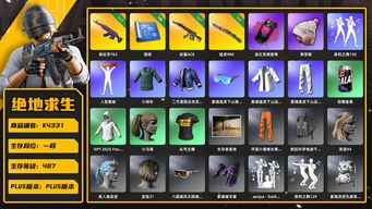 绝地求生（PUBG）[K4331]1段487级 信誉3 7级美杜莎 1级妖魔 1级猛虎 烟雾弹 3图纸 小马尾 