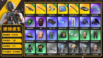 绝地求生（PUBG）[K4332]2段174级 信誉2 2级牛头 2级午夜 2级无重力 1级s1897 保时捷911 烟枪烟弹 黑鬼 丸子头 aespa GISELLE