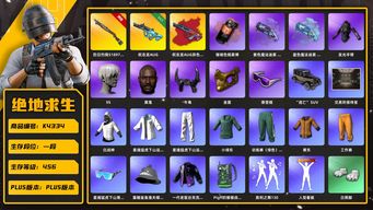 绝地求生（PUBG）[K4334]1段456级 信誉3 6级烈日喷 1级权志龙+异色 烟枪烟弹 白战神 绿东 黄东 发光手 白熊脚 尼尔9s 黑鬼 牛角 金面 滑雪镜