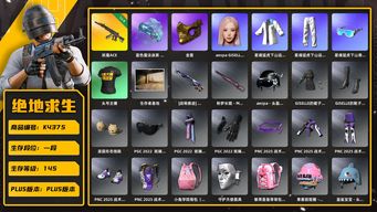 绝地求生（PUBG）[K4375]1段145级 信誉1 4级妖魔 烟枪 星魂白 金面 25女团粉毛