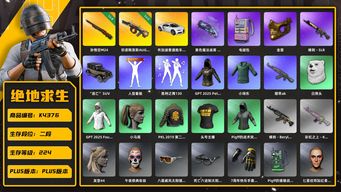 绝地求生（PUBG）[K4376]2段224级 信誉2 4级孙悟空 2级牛头 烟枪 布加迪 小马尾 金面 电磁包 