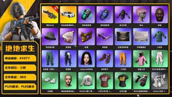 绝地求生（PUBG）[K4377]3段365级 信誉3 10级霓虹 烟弹 绿东 悲喜 发光手 竞猜裤 白熊脚 小粉头 丸子头 黑鬼 25女团KARINA 渔夫帽 金面 滑雪镜