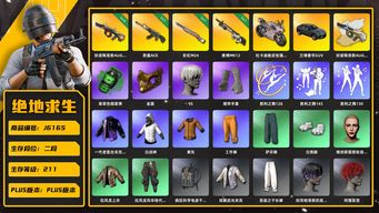 绝地求生（PUBG）绷带手套 黄东 9S 金面 丸子头 兰博奢华SUV 赛博MK12 杜卡迪叛逆玫瑰 萨芬裤 翡翠色烟雾弹 白战神 恶魔ACE 彩虹M24 弥诺陶洛斯AUG 弥诺陶洛斯AUG异色 尼尔大礼包 阿狸大礼包 拉风龙套装 烟雾弹 杜卡迪 兰博基尼