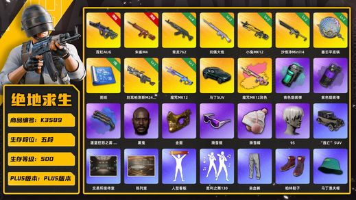 绝地求生（PUBG）[K3589]5段500级 信誉3 10级霓虹 10级朱雀 4级青龙 2级小兔 2级塞壬 2级沙悟净 1级玩偶 1级魔咒+异色 烟枪烟弹 马丁 黑鬼 滑雪镜 金面 丸子头 小马尾 染血裤 悲喜 小战神 拉风龙 新女团HAERIN