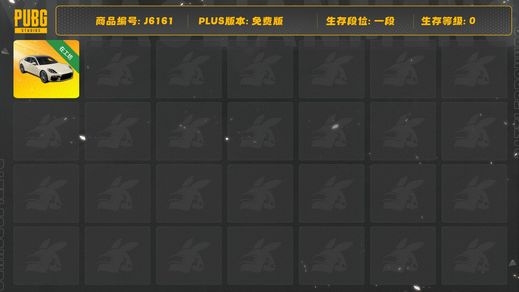 绝地求生（PUBG）帕拉梅拉（图样）＋PNC2025狼尾套＋PNC2025双马尾渐变套＋丸子头套＋圣诞之子套＋PCS2男金面巾套＋150票卷