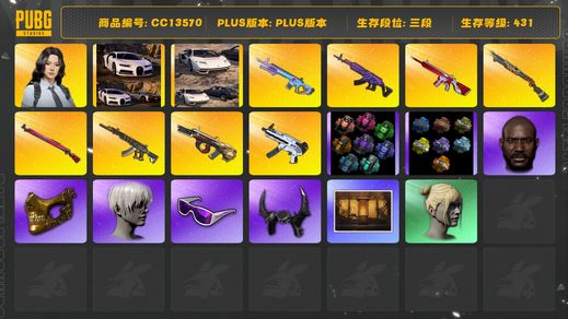 绝地求生（PUBG）[CC13570]CC13570/可排位/3段/431级/1张图纸/武器神龛/烟枪/烟雾弹/布加迪/兰博基尼SUV/翰娜/10级妖魔ACE/6级美杜莎/2级弥诺陶洛斯AUG/2级午夜惊魂98k/1级无信号M4/1级烈日s1897/1级无重力/1级魔咒mk12/弥诺陶洛斯AUG异色/无信号M4异色/绿东/黄东/星魂套装/白战神/染血运动裤/拉风龙套装/pigff套装/粉战神/圣诞套装/竞猜裤/滑雪镜