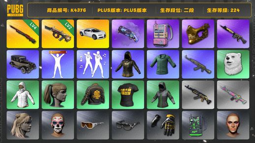 绝地求生（PUBG）[K4376]2段224级 信誉2 4级孙悟空 2级牛头 烟枪 布加迪 小马尾 金面 电磁包 