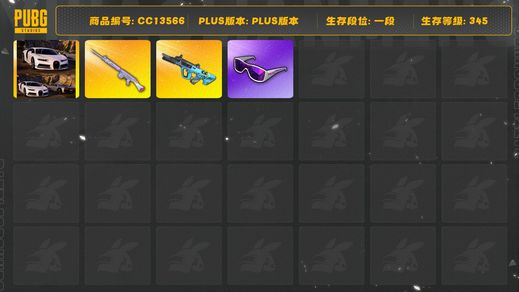 绝地求生（PUBG）[CC13566]CC13566/可排位/1段/345级/2张图纸/布加迪/4级玩偶大炮/3级权志龙AUG/1套3代女团/星魂套装/滑雪镜/滑雪帽/青海摇