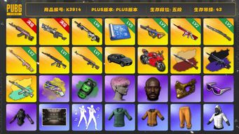 绝地求生（PUBG）[K3914] 5段43级 信誉3 10级火麒麟 6级大菠萝 6级赛博 3级爆裂 2级无信号+异色 2级猛虎+异色 2级德拉贡 1级妖魔+异色 1级时光 烟弹烟枪 5图纸 兰博 杜卡迪 金面 滑雪镜 黑鬼 粉头