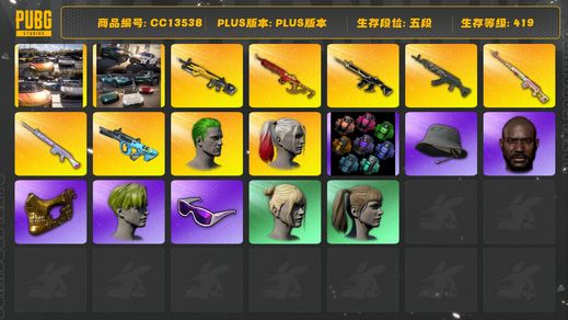 绝地求生（PUBG）[CC13538]CC13538/可排位/5段/419级/绿色烟雾弹/青色烟雾弹/迈凯伦/阿斯顿马丁跑车/阿斯顿马丁SUV/小丑女/小丑男/10级青龙/5级圣诞mini/1级权志龙AUG/1级猪八戒M4/1级小兔MK12/1级德拉贡/1级玩偶大炮/星魂套装/白战神/小战神/拉风龙套装/圣诞套装/竞猜裤/滑雪镜/滑雪帽/金面/黑鬼/小绿头/双马尾/丸子头/婚纱头/渔夫帽/青海摇