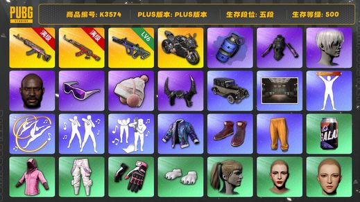 绝地求生（PUBG）[K3574]5段500级 信誉2 10级火麒麟 6级AK 6级霓虹 烟雾弹 黑鬼 滑雪镜 牛头 9s 发光手 