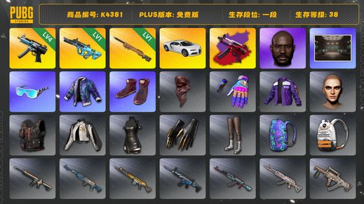 绝地求生（PUBG）[K4381]1段38级  信誉2  布加迪  4级寒蚀+异色  1级权志龙  1级夜曲  黑鬼