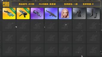 绝地求生（PUBG）权志龙AUG3级 寒蚀原皮 紫色烟枪 绷带ak GISELLE女团 保时捷越野服装一套 星魂猛虎下山服装一套