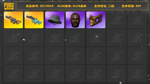 绝地求生（PUBG）[CC13543]CC13543/可排位/2段/307级/7张图纸/4000聚合物/10级爆裂弹珠AUG/1级权志龙AUG/2星魂套装/白战神/圣诞套装/滑雪帽/金面/黑鬼/渔夫帽/