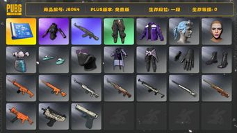 绝地求生（PUBG）2图纸 详情看图