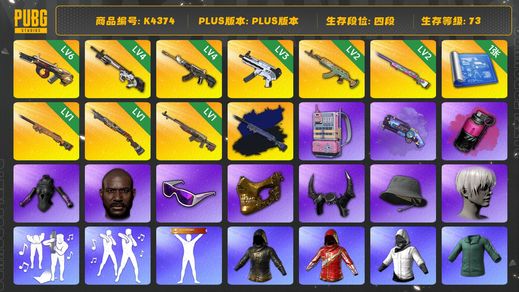 绝地求生（PUBG）[K4374]4段73级 信誉2 6级牛头 4级赛博 4级恶魔 3级无重力 2级水麒麟 2级彩虹 1级夜曲+异色  1级烈日 1级时光 烟弹烟枪 1图纸 黑鬼 金面 滑雪镜 牛角 渔夫帽 9s