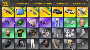 绝地求生（PUBG）[K4387]3段368级  信誉3  卡宴  兰博  7级弥诺陶洛斯+异色  2级魔咒  1级夜曲  烟枪烟弹  3图  滑雪镜  滑雪帽