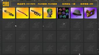 绝地求生（PUBG）[CC13575]CC13575/可排位/1段/293级/4张图纸/烟雾弹/小丑男/8级小兔MK12/1级弥诺陶洛斯AUG/1级午夜惊魂98k/粉战神/金面/渔夫帽