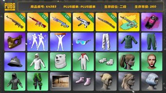 绝地求生（PUBG）[K4383]2段260级 信誉2 2级时光 2级无信号 1级魔咒 1级无重力 1级猛虎 妖魔异色 烟雾弹 丸子头 小马尾 小绿东 