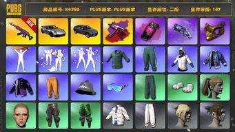 绝地求生（PUBG）[K4385]2段167级 信誉2 10级美杜莎 寒蚀异色 烟枪烟弹 保时捷911 兰博suv 小绿东 白战神 小马尾 丸子头 