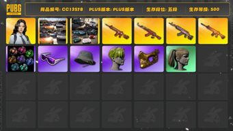 绝地求生（PUBG）[CC13578]CC13578/可排位/5段/500级/烟雾弹/迈凯伦/阿斯顿马丁SUV/小丑女/翰娜/9级火麒麟/5级圣诞ak/3级南瓜M4/2级朱雀M4/1套2代女团/1套1代女团/电磁背包/染血运动裤/粉战神/圣诞套装/萨芬裤/竞猜裤/滑雪镜/金面/小绿头/双马尾/婚纱头/2渔夫帽/白虎背包/青海摇/爱的主打歌