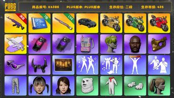 绝地求生（PUBG）[K4386]2段435级 信誉2 10级美杜莎+异色 4级彩虹 烟雾弹 7图纸 白熊 染血裤 电磁包 黑鬼 金面 滑雪镜 牛角 小绿头 内马尔 HAERIN  HYEIN  