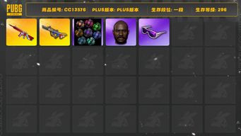 绝地求生（PUBG）[CC13576]CC13576/可排位/1段/296级/烟雾弹/5级爆裂弹珠AUG/3级无信号M4/小战神/粉战神/圣诞套装/滑雪镜/滑雪帽/黑鬼