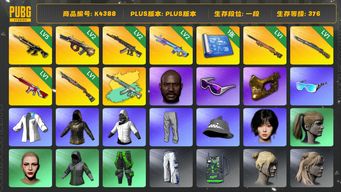 绝地求生（PUBG）[K4388]1段376级 信誉3 5级猪八戒 2级牛头 2级妖魔+异色 2级魔咒 1级夜曲 1级猛虎 1级无信号 1级烈日  1图纸 电磁包 黑鬼 金面 滑雪镜