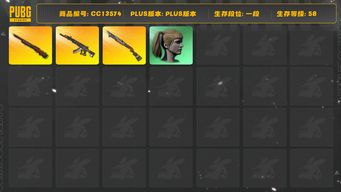 绝地求生（PUBG）[CC13574]CC13574/可排位/1段/58级/改名卡/4级孙悟空M24/1级妖魔ACE/1级烈日s1897/星魂套装/粉战神/滑雪帽/双马尾/婚纱头/青海摇