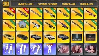 绝地求生（PUBG）[K4391]3段206级 信誉4 10级弥诺陶洛斯+异色 10级火麒麟 9级彩虹 8级赛博 3级齿轮大炮 2级恶魔 2级无信号 2级圣诞mini 2级塞壬锅 1级无重力 1级猪八戒 1级美杜莎 1级烈日喷 1级时光 烟枪烟弹 三保时捷 迈凯伦 红东 大魔王 斗鱼夹克 绿东 白熊脚 渔夫帽 牛角 康萨斯发带 金面 滑雪镜 丑女 尼尔9s 小马尾 丸子头 小粉头 25女团KARINA 黑鬼 一代女团