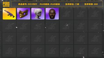 绝地求生（PUBG）[CC13577]CC13577/可排位/2段/222级/4张图纸/7级美杜莎/绿东/星魂套装/白战神/拉风龙套装/滑雪帽/金面/黑鬼/尼尔头/白熊/青海摇