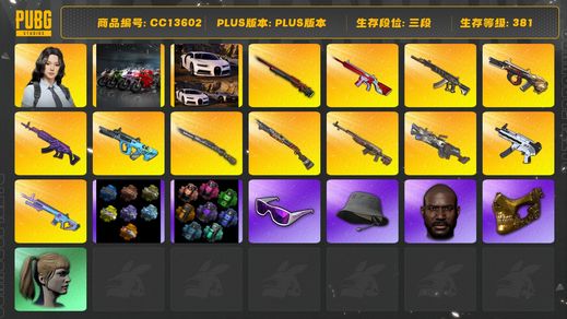 绝地求生（PUBG）[CC13602]CC13602/可排位/3段/381级/4张图纸/烟枪/绿色烟雾弹/青色烟雾弹/布加迪/卡宴/2杜卡迪/翰娜/10级孙悟空M24/6级美杜莎/3级猛虎98k/2级弥诺陶洛斯AUG/2级时光sks/1级权志龙AUG//1级无信号M4/1级妖魔ACE/1级烈日s1897/1级无重力/1级刻耳M249/1级魔咒mk12/孙悟空M24异色/星魂套装/小战神/pigff套装/圣诞套装/滑雪