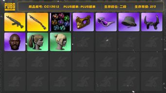 绝地求生（PUBG）[CC13612]CC13612/可排位/2段/273级/6张图纸/9000聚合物/绿色烟雾弹/粉色烟雾弹/卡宴/9级青龙/3级烈日s1897/绿东/黄东/星魂套装/白战神/滑雪镜/金面/牛角/黑鬼/双马尾/丸子头/脏辫/渔夫帽/