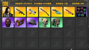 绝地求生（PUBG）[CC13610]CC13610/可排位/2段/466级/3张图纸/绿色烟雾弹/蓝色烟雾弹/911/多利安/10级青龙/2级无信号M4/1级权志龙AUG/1级烈日s1897/1级无重力/电磁背包/2星魂套装/小战神/白战神/滑雪帽/金面/黑鬼/双马尾/丸子头/婚纱头/渔夫帽/青海摇