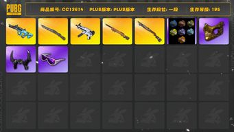 绝地求生（PUBG）[CC13614]CC13614/可排位/1段/195级/5张图纸/烟枪/卡宴/6级权志龙AUG/1级烈日s1897/1级无重力/1级夜曲M24/1级猛虎98k/星魂套装/滑雪镜/滑雪帽/金面/牛角