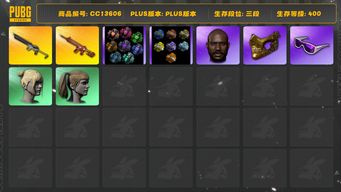 绝地求生（PUBG）[CC13606]CC13606/可排位/3段/400级/3张图纸/烟枪/烟雾弹/卡宴/9级朱雀M4/6级沙悟净mini/1套1代女团/染血运动裤/卧底套装/粉战神/pro套装/17套装/滑雪镜/滑雪帽/金面/黑鬼/双马尾/丸子头/