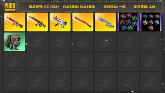 绝地求生（PUBG）[CC13621]CC13621/没开排位/1段/228级/3张图纸/改名卡/烟枪/烟雾弹/4级午夜惊魂98k/3级无信号M4/1级妖魔ACE/1级无重力/1级魔咒mk12/无信号M4异色/魔咒MK12异色/绿东/圣诞套装/滑雪帽/双马尾/白熊