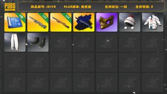 绝地求生（PUBG）M24原皮加异色，AWM原皮，六张图纸，金面，圣诞之子套装，工坊套装多多，