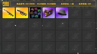 绝地求生（PUBG）[CC13608]CC13608/可排位/1段/437级/烟雾弹/卡宴/5级弥诺陶洛斯AUG/1级时光sks/星魂套装/绿东/金面/婚纱头/渔夫帽/白熊/青海摇